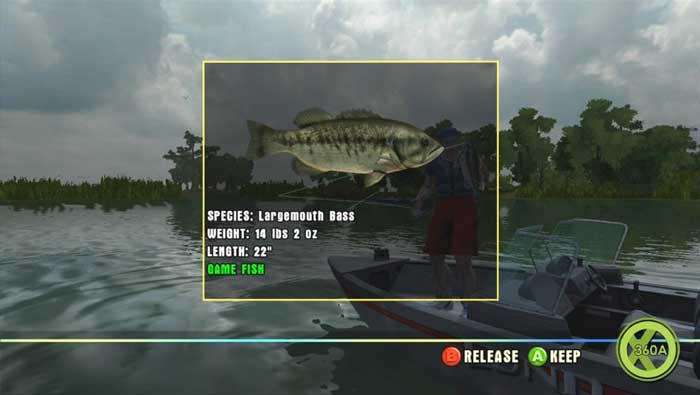 med_rapala5.jpg